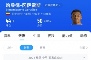 pg电子手机端-石家庄功夫外援谈胡靖：对手被救助苏醒，这比比赛更为重要